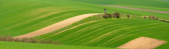 Krajina 2013-6