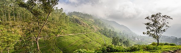 Sri Lanka