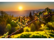 14_MDZ_95364_HDR.jpg