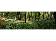 14_Panorama_bez_nazvu1B.jpg