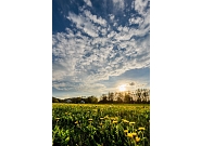31_MDZ_31257-HDR.jpg