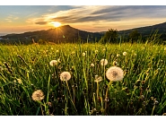 31_MDZ_32321-HDR.jpg