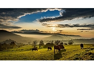 31_MDZ_40024-HDR.jpg
