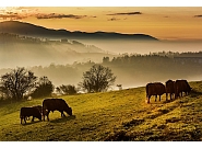 31_MDZ_40048-HDR.jpg