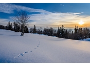 31_MDZ_4269-HDR.jpg