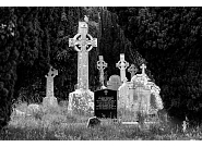 32_MDZ_15503.jpg